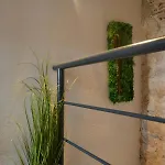 Villa Most Tisno 公寓 *
