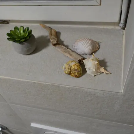 Villa Most Tisno 아파트